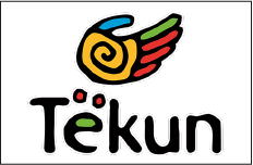 Tekün Juegos